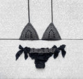 Black and Gray Net Triangle Bikini
