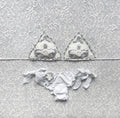 Bikini Triangolo Fiore del Pensiero Bianco e Argento Bicolor Limited Edition