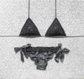 Dark Grey Lamé Triangle Bikini