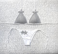 White Glitter Star Triangle Bikini with Silver Glitter